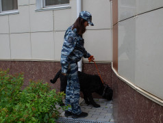 Безопасность без границ: сотрудники правоохранительных органов провели масштабный урок для детей в Заслоновграде