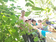 Моя малая родина. Экспедиция &laquo;Геотег&raquo; 