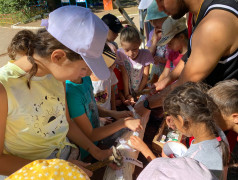 Акция &laquo; Забей и действуй!&raquo;в ДОЛ им.Ю.А.Гагарина