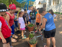 Проект &laquo; 100 добрых дел для родной природы&raquo;