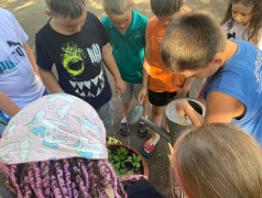 Проект &laquo; 100 добрых дел для родной природы&raquo;