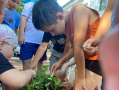 Проект &laquo; 100 добрых дел для родной природы&raquo;