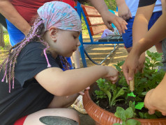 Проект &laquo; 100 добрых дел для родной природы&raquo;