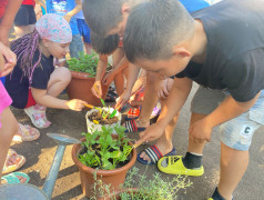 Проект &laquo; 100 добрых дел для родной природы&raquo;