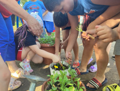 Проект &laquo; 100 добрых дел для родной природы&raquo;