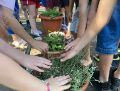 Проект &laquo; 100 добрых дел для родной природы&raquo;