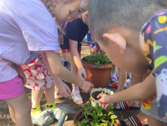 Проект &laquo; 100 добрых дел для родной природы&raquo;