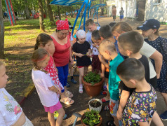 Проект &laquo; 100 добрых дел для родной природы&raquo;