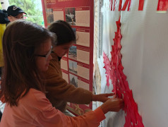 Ради памяти, ради будущего: акция &laquo;Звезда героев&raquo;