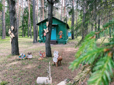 Уникальная инфраструктура ДОЛ "Лазурный"