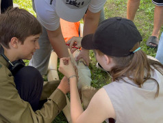  Железнодорожный вызов принят! 