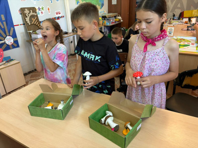 Фотосет Путь твоей безопасности