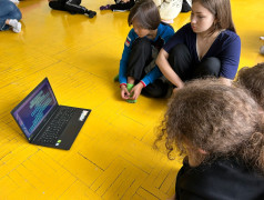 Игра "Иммуноген"