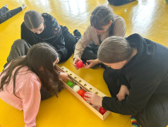 Игра "Иммуноген"