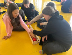 Игра "Иммуноген"