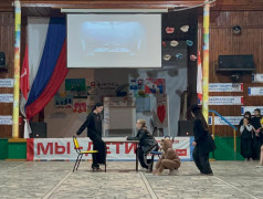 В лагере развернулась настоящая детективная драма! 