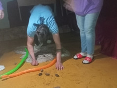 &laquo;Теперь ты - в нашей команде!&raquo;