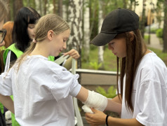 Железнодорожный вызов: испытание для настоящих стратегов