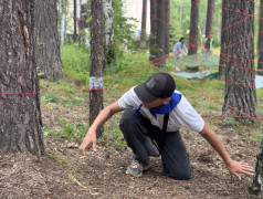Железнодорожный вызов: испытание для настоящих стратегов