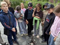 День Первых: Вдохновение, Единство и Новые Знания в лагере &laquo;Алёнушка&raquo;!
