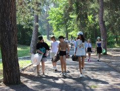 Аукцион в Усладе!