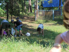 Аукцион в Усладе!