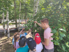 Моя малая родина. Экспедиция &laquo;Геотег&raquo; 