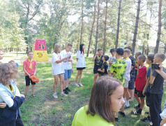 Профессиональный отряд