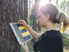"День Первых" в ДОЛ "Яльчик"
