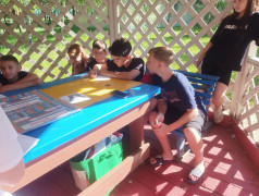 Станционная игра &laquo;12 направлений деятельности Российского движения детей и молодежи &laquo;Движение первых&raquo; в ДОЛ им. Зои Космодемьянской