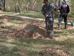 Отцы и дети