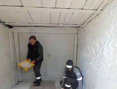 Отцы и дети