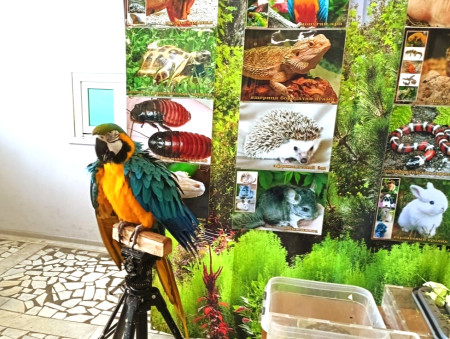 ЭКЗОТИКА в ФОЦ 