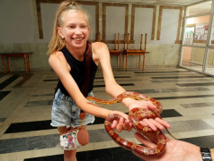 ЭКЗОТИКА в ФОЦ "МИНЕРАЛЬНЫЕ ВОДЫ"