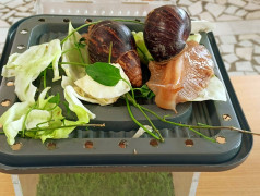 ЭКЗОТИКА в ФОЦ "МИНЕРАЛЬНЫЕ ВОДЫ"