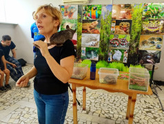 ЭКЗОТИКА в ФОЦ "МИНЕРАЛЬНЫЕ ВОДЫ"