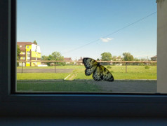 ТРОПИЧЕСКОЕ ШОУ в ФОЦ "МИНЕРАЛЬНЫЕ ВОДЫ"