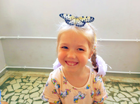 ТРОПИЧЕСКОЕ ШОУ в ФОЦ 