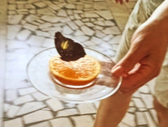 ТРОПИЧЕСКОЕ ШОУ в ФОЦ "МИНЕРАЛЬНЫЕ ВОДЫ"