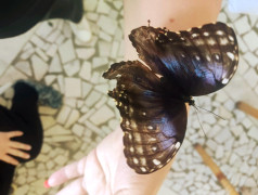 ТРОПИЧЕСКОЕ ШОУ в ФОЦ "МИНЕРАЛЬНЫЕ ВОДЫ"