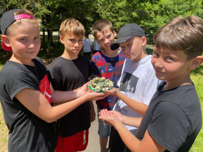 Полезное лето