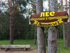 ЛЕСНАЯ ПЕРЕЗАГРУЗКА: ТВЕРЦА СОЗДАЛА ОСОБОЕ МЕСТО ДЛЯ ТИШИНЫ И СИЛ