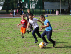 День спорта в лагере Салют! 