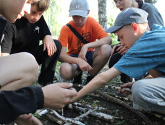 Вызов принят! 