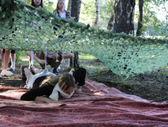 Вызов принят! 