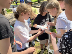 17 день в лагере &laquo;Дружба&raquo;