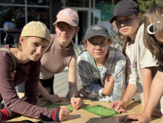 Иммуноген активирован: Победа команд в масштабной миссии