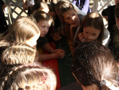 Игра Иммуноген 3 смена ДОЛ им. Зои Космодемьянской