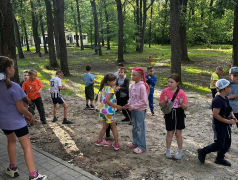 Ударный день