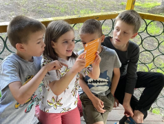 Страна Железных Дорог